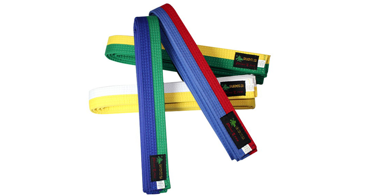 韩国松树(pinetree) 品牌 跆拳道训练道带 儿童专用跆拳道腰带双色 蓝