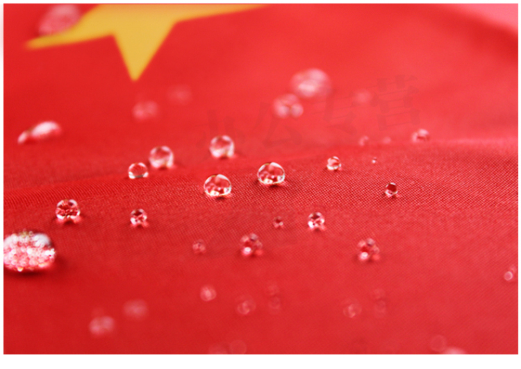 中国国旗团旗党旗 办公室旗帜 多种型号可选 5号空白红旗64*96cm【图