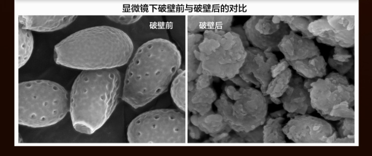 粤微全灵芝破壁孢子粉2g袋30袋盒免疫力调节营养滋补品送礼礼盒