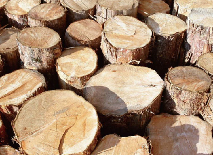 声达板材 e01.8级 进口柳桉芯细木工板