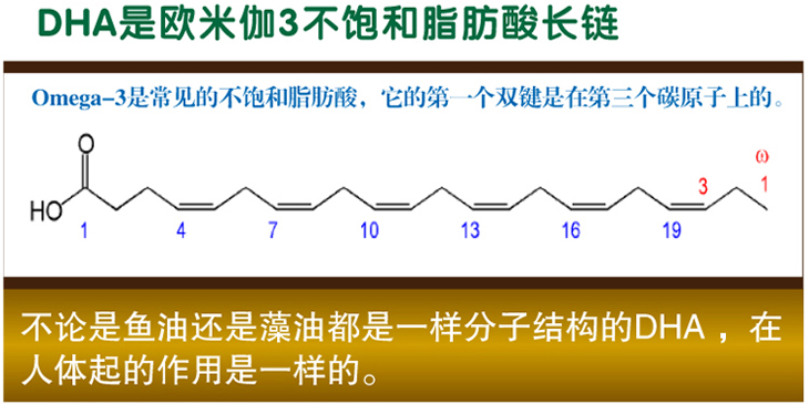 dha的生理作用 omega-3 fatty acid 欧米加3 脂肪酸,重要的细胞膜组成