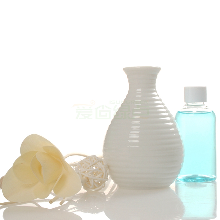 
                                        爱尚绿点 橫纹迷你藤条无火香薰套装 净化除味 80ml E601 海洋                