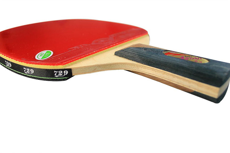 729郝帅超四星乒乓球拍 友谊超4星成品拍 双面反胶 一支装 送拍套