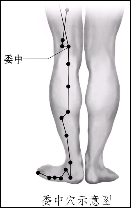 《黄帝内经》指出:此八虚为真气之所过.