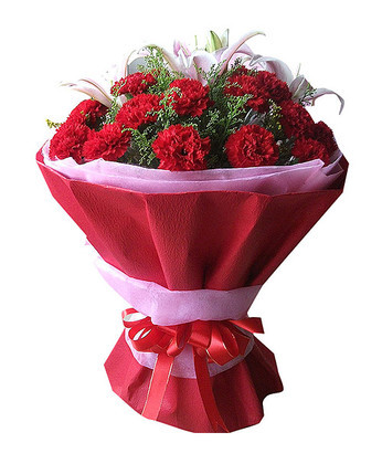 母亲节 康乃馨 康乃馨鲜花 母亲节鲜花 鲜花速递 兰之馨 红色康乃馨12