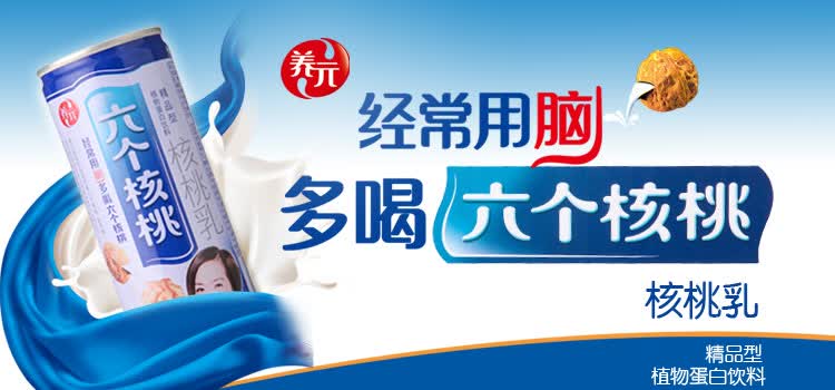 六个核桃精品型礼盒装240ml[仅配送山西太原]