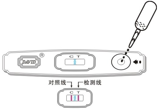 【包装规格】1人份 【样本要求】 尿液标本可收集在