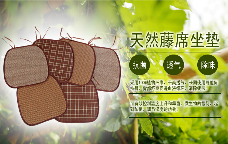 
                                        迪菲娜(DIFEINA)小牡丹坐垫餐椅垫 紫色 41cm*43cm                