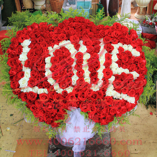 罗曼蒂克编号:h786 主花: 521 红玫瑰 白玫瑰 a (云南kifa拍市,空运红
