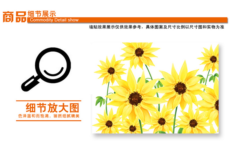 孖堡家居 可移除墙贴饰彩色非洲菊 客厅卧室走廊腰线踢脚线 环保装饰贴纸壁贴壁纸