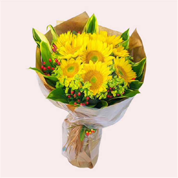 爱的印记 鲜花 向日葵10朵