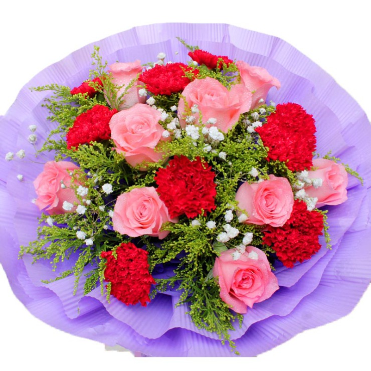 探望适合节日:感恩,母亲,教师 花材包装:9枝粉玫瑰,9枝红色康乃馨