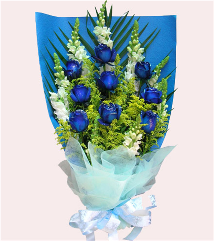 鲜花速递 蓝玫瑰9支