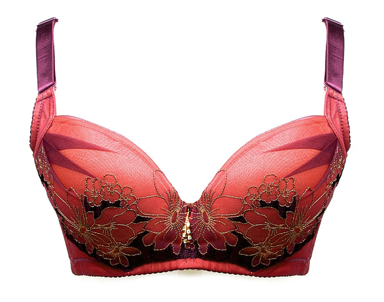 heigl 海戈尔 2013新款女士性感聚拢中厚杯调整型文胸内衣 紫红色 80b