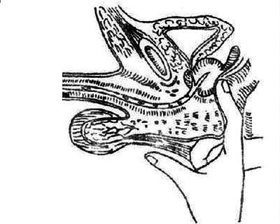 高岛 前列腺按摩器 低频脉冲磁疗型 rbx-1 男用 自慰器 成人情趣性