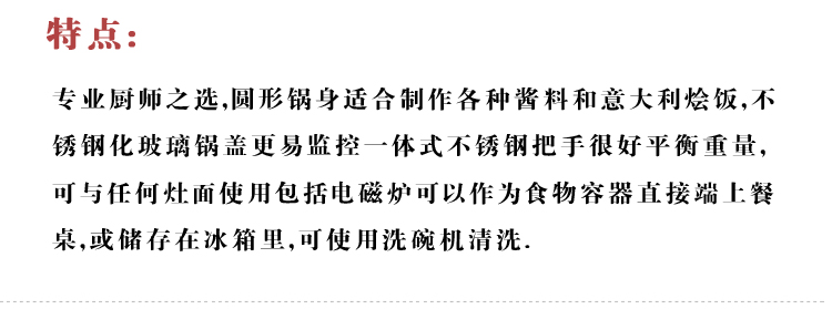 美国CHANTAL尚塔尔 20cm珐琅单柄汤锅 煲汤锅 红色