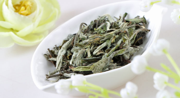 绿雪芽 福鼎白茶 白牡丹 静牡丹(绿)礼盒装120克