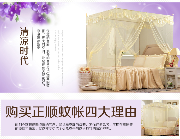 
                                        正顺蚊帐加粗加厚纯不锈钢螺纹支架二开门方顶加密学生宫廷公主拉链蚊帐 幽雅白色 1.5*2米床                