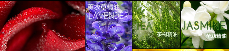 
                                        雅香居 香薰精油10ml香熏精油 香薰灯精油香薰炉香熏精油 玫瑰                