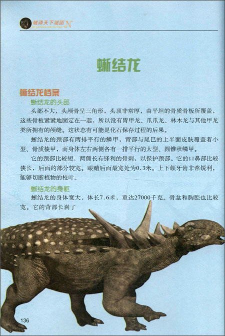 慈母龙的发现