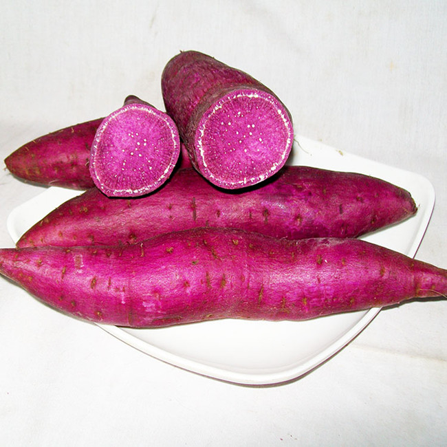 紫心红薯
