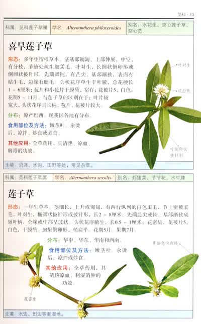 京东触屏版