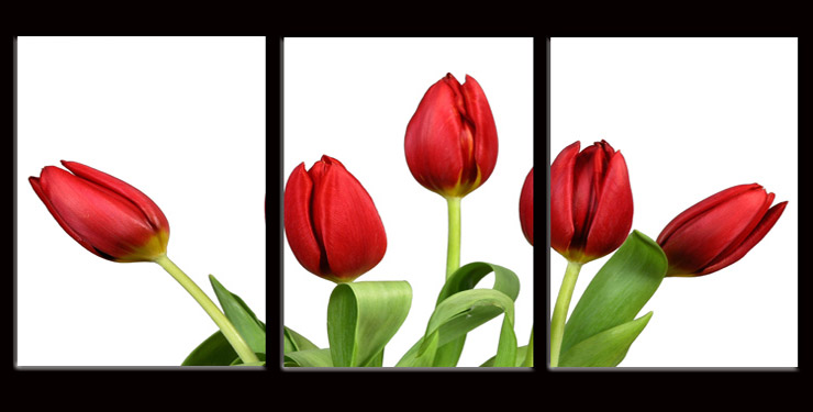 家装软饰 装饰字画 蓝果(bluefruit) 蓝果(blue f