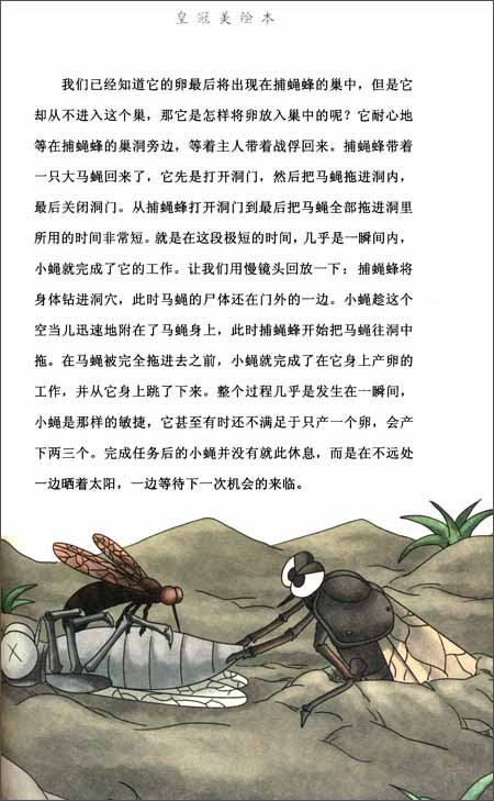 斑纹蜂的筑巢时间一般是在三月和四月.