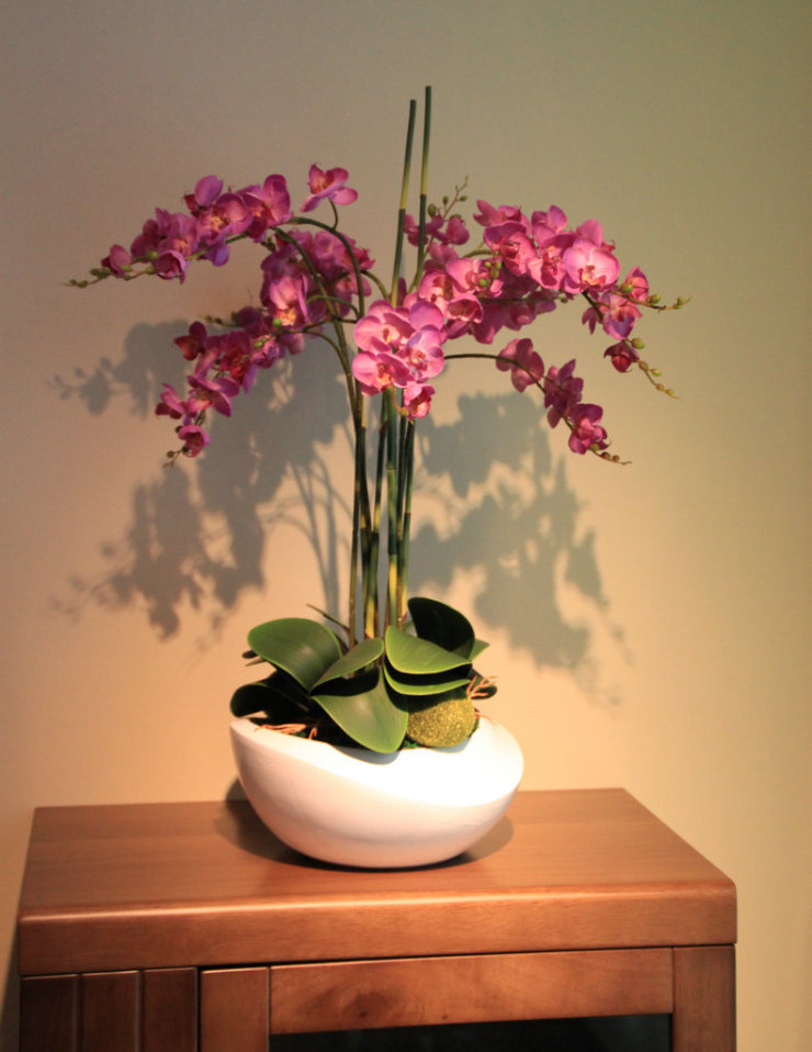 【材质/规格】:u手感过胶蝴蝶兰,蝴蝶兰叶子,白色陶瓷花盆/若干花艺配