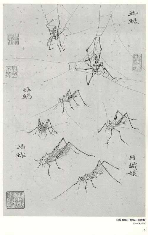 草虫白描画稿 张铨 艺术 书籍