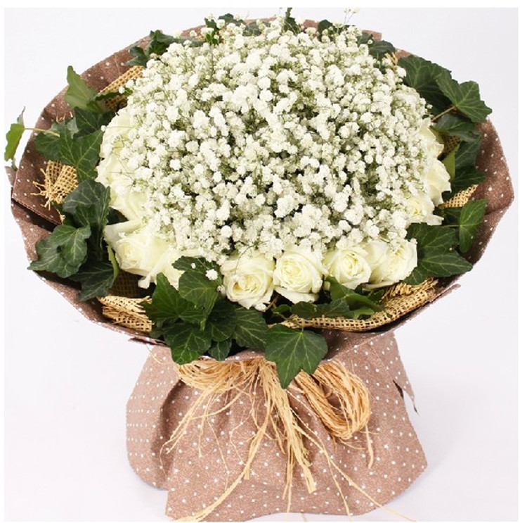 1扎满天星 19朵白玫瑰(圆点净面纸款)