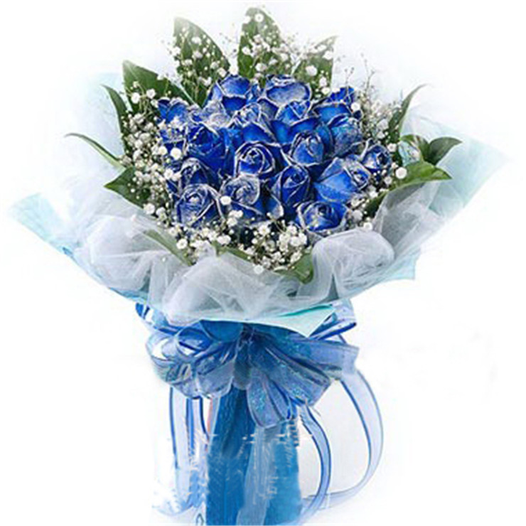 爱的印记 鲜花速递 19朵蓝色妖姬 爱的最高点
