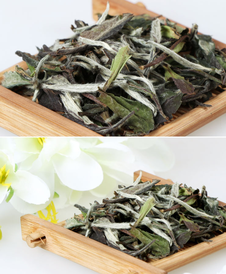 绿雪芽 福鼎白茶 白牡丹 筒装230克