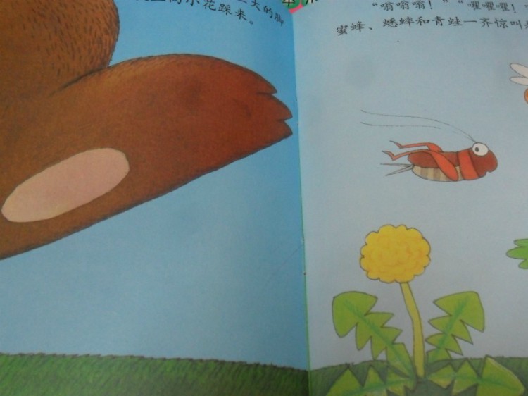 【宝贝名称】:和平小天使丛书(彩绘本)*全15册 【适读年龄】:0—3岁