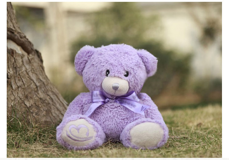 思恩 薰衣草小熊毛绒玩具公仔抱抱熊生日新年礼物 可加热顺丰包邮 可