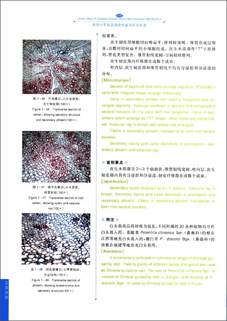显微结构