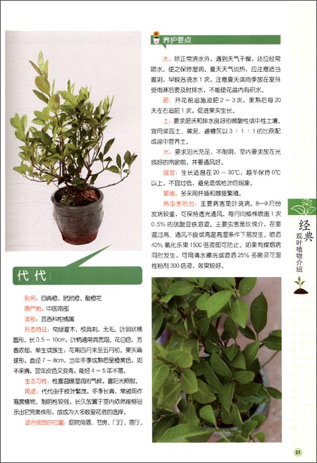 版权页:    插图:    别名:铁树    原产地:我国与南亚热带地区