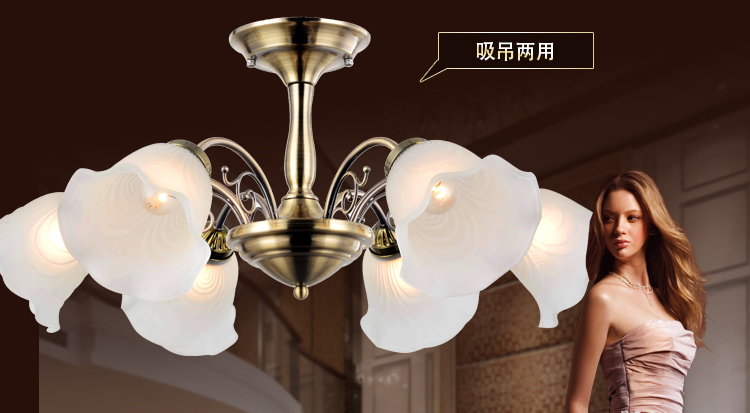 祺家 吸吊两用欧式客厅灯餐厅吊灯壁灯灯具SX11 一头吸顶灯含白光LED光源