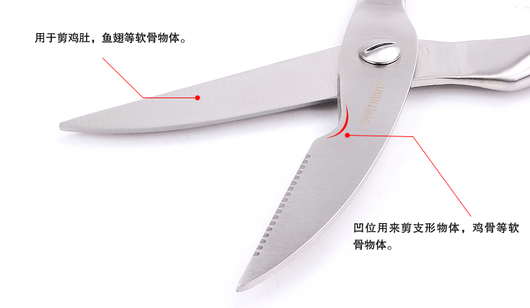 
                                        沃德百惠WORTHBUY 不锈钢亚光鸡骨剪厨房剪刀鸡骨剪鱼肉剪厨房用F01002                