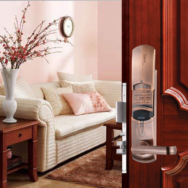 第吉尔keylock密码锁家用入户门防盗门锁电子锁113c 实用实惠 银色