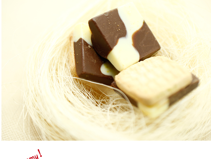 日幸 巧克力饼干120g 日本原装进口