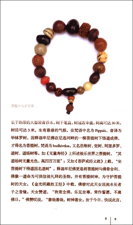 第二节 菩提子串珠评析    1.