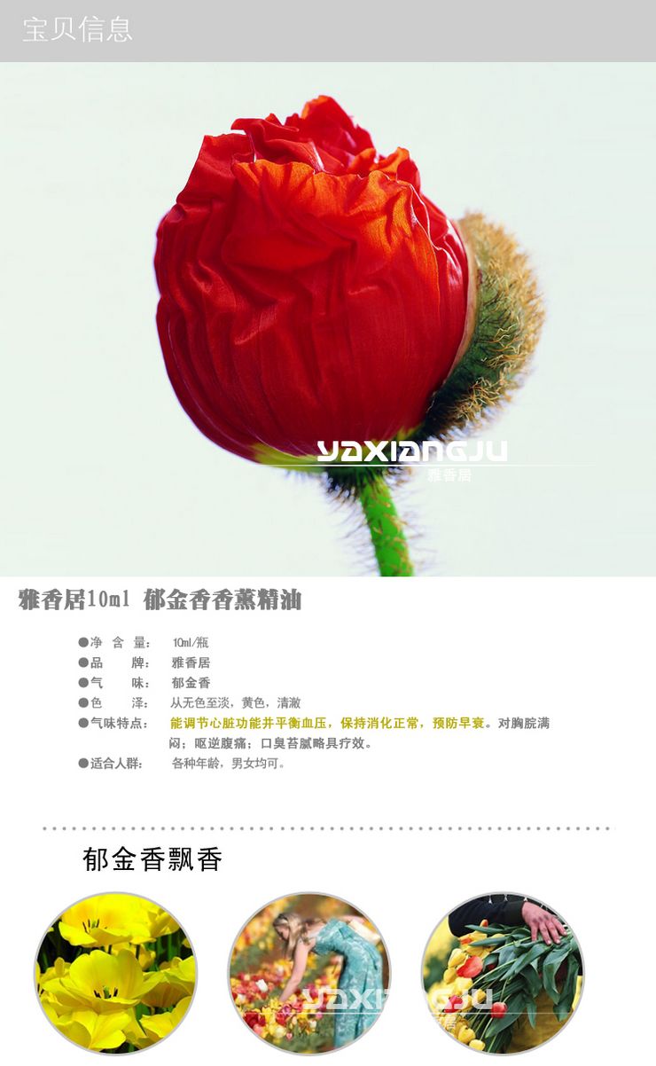 雅香居 郁金香香薰精油10ml香熏精油