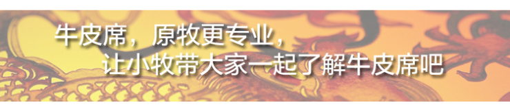 
                                        原牧 头层水牛皮凉席软席 川皮儿童牛皮席 整张无拼接 不含枕套 棕红色---无拼接 1*1.95米                