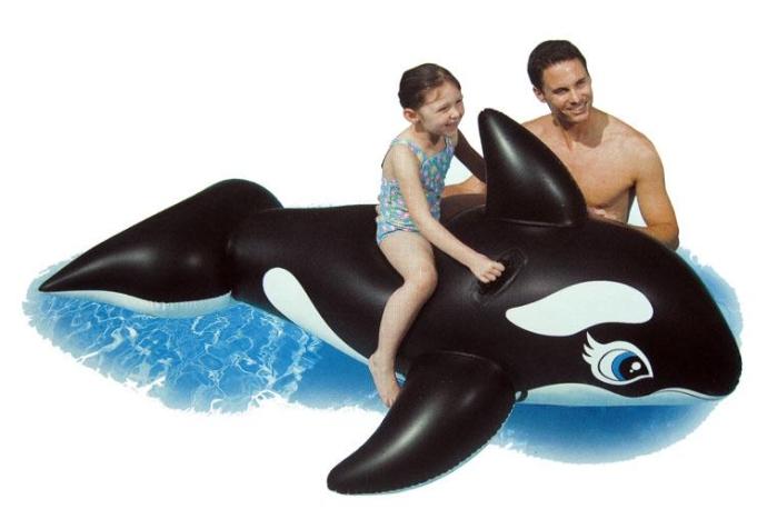 美国intex58561大黑鲸坐骑 特大号充气坐骑成人儿童都可用(标配 手泵)