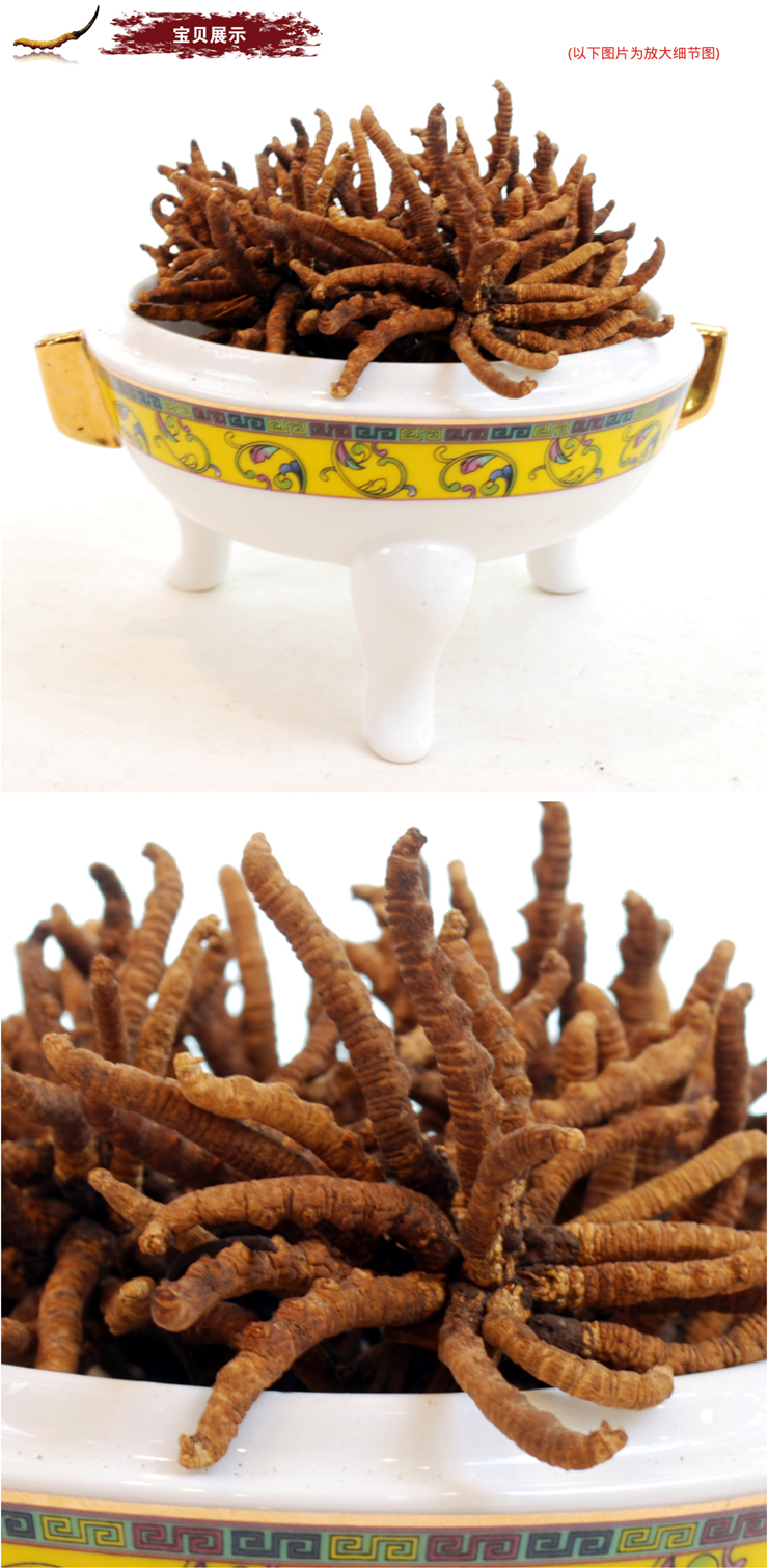 三江源牌冬虫夏草散装特级1g