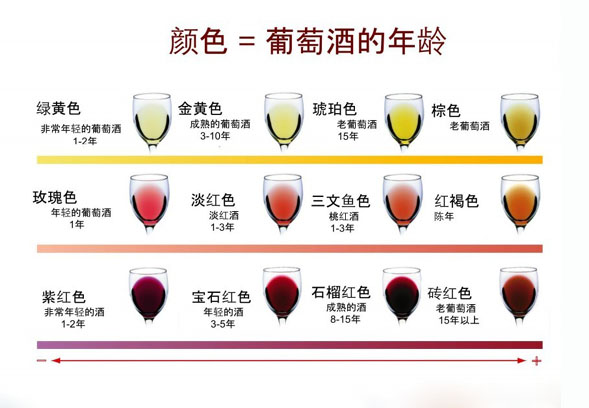 圣-富-波尔多法定产区贵族佳酿红葡萄酒