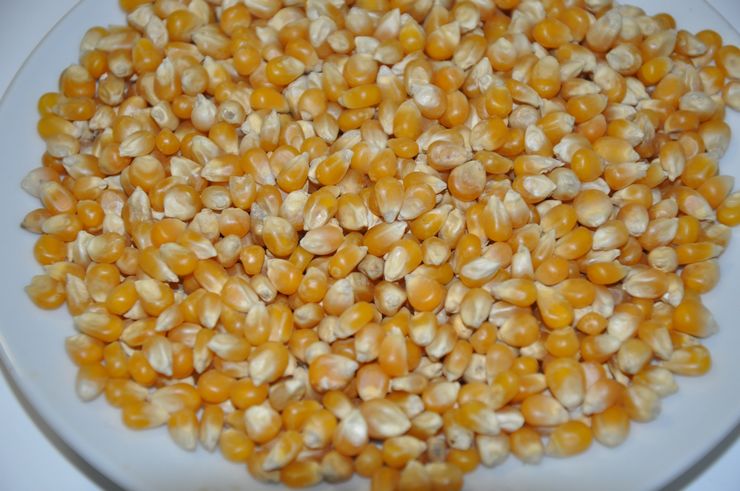 爆裂玉米粒