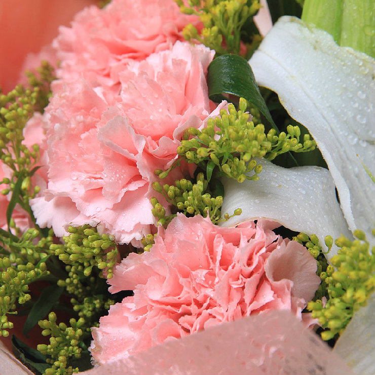 粉色康乃馨11支 白色香水百合2支 探望父母长辈生日礼物 母亲节配送