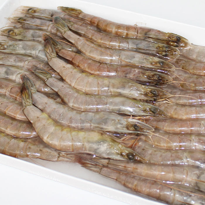 悦海上品 文莱御品蓝虾